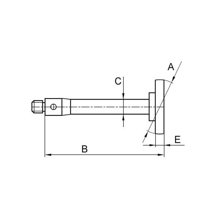 Trzpień talerzykowy Renishaw (M3/L30,9/D12,7)