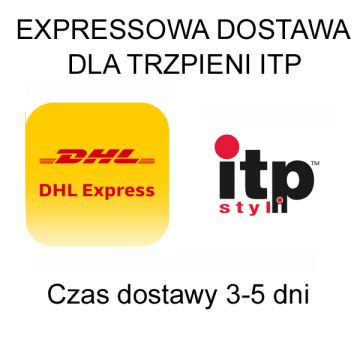 Dostawa DHL-EXPRESS